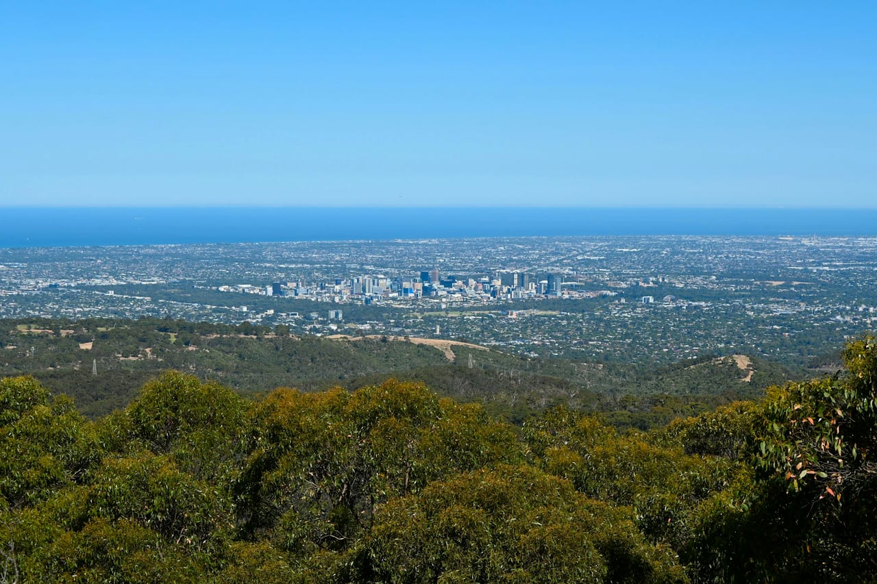 Adelaide seen from the hills, the city stretching out toward the gulf.