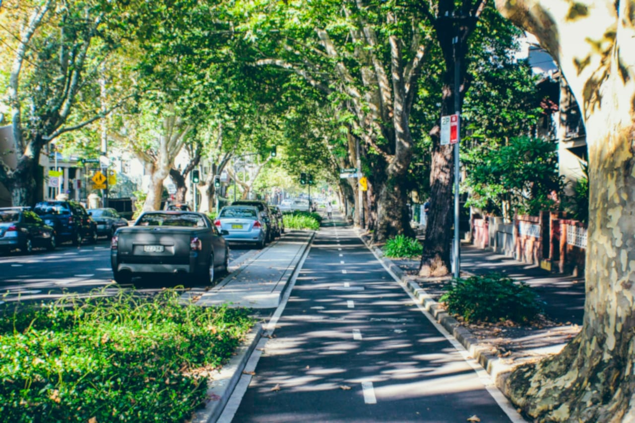 A street in Surry Hills lined with plane trees, with a cycle path and parked cars